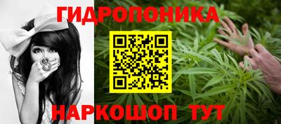 сатива Камышлов