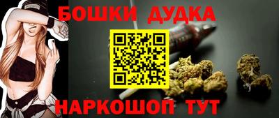 амф Кандалакша
