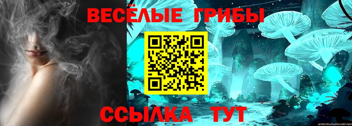 Псилоцибиновые грибы мухоморы  Галлюциногенные грибы мицелий  Чита  Вход с VPN 