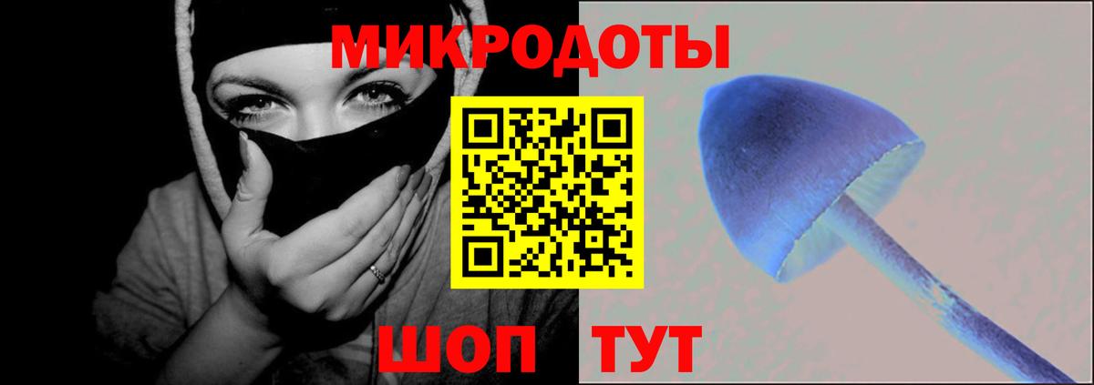 Псилоцибиновые грибы Psilocybine cubensis Чита