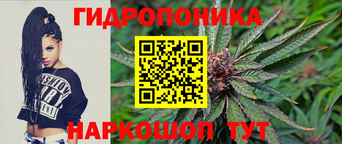 Шишки марихуана OG Kush Чита